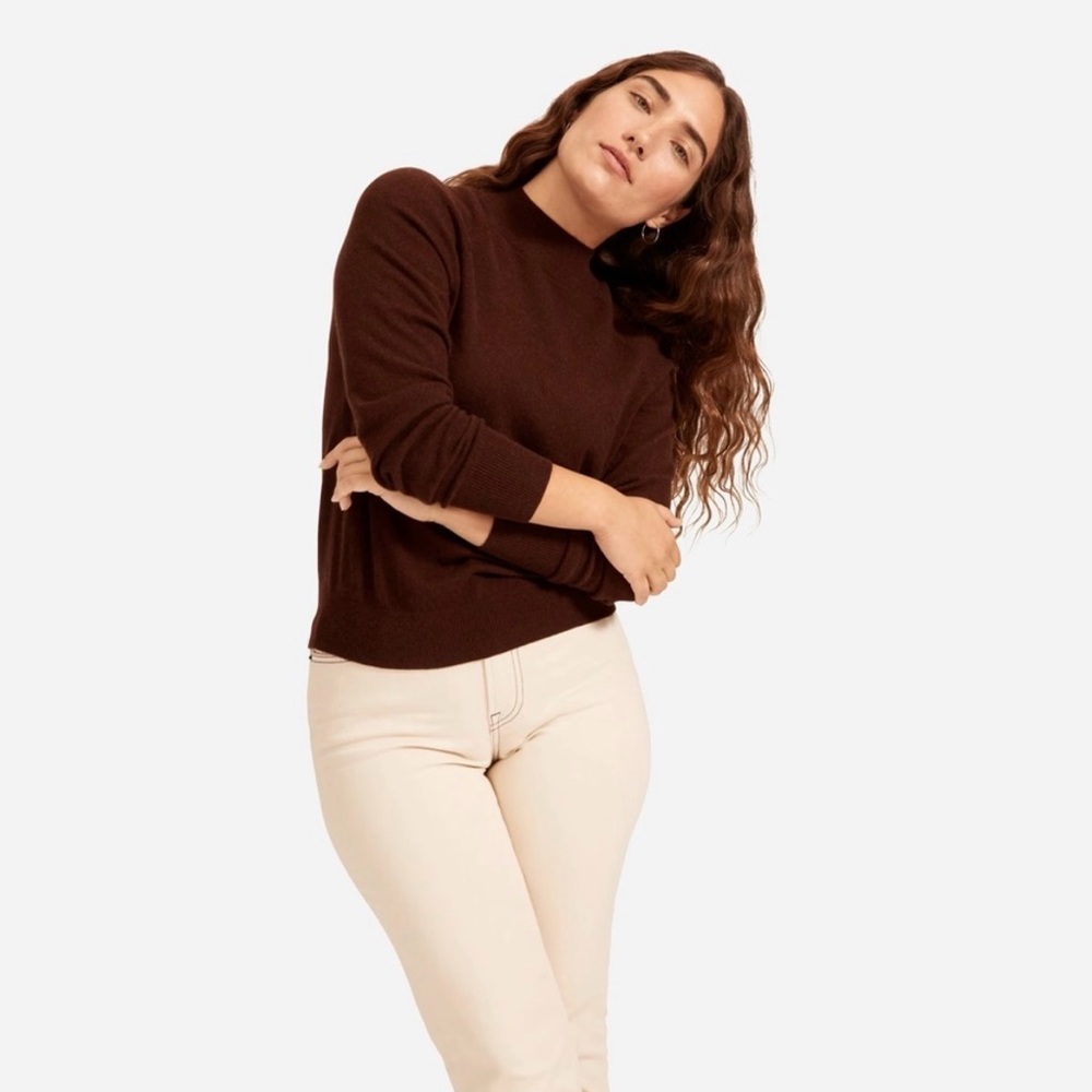 Everlane 100% Cashmere Raglan Mock Neck Sweater - Heather Brown - XS